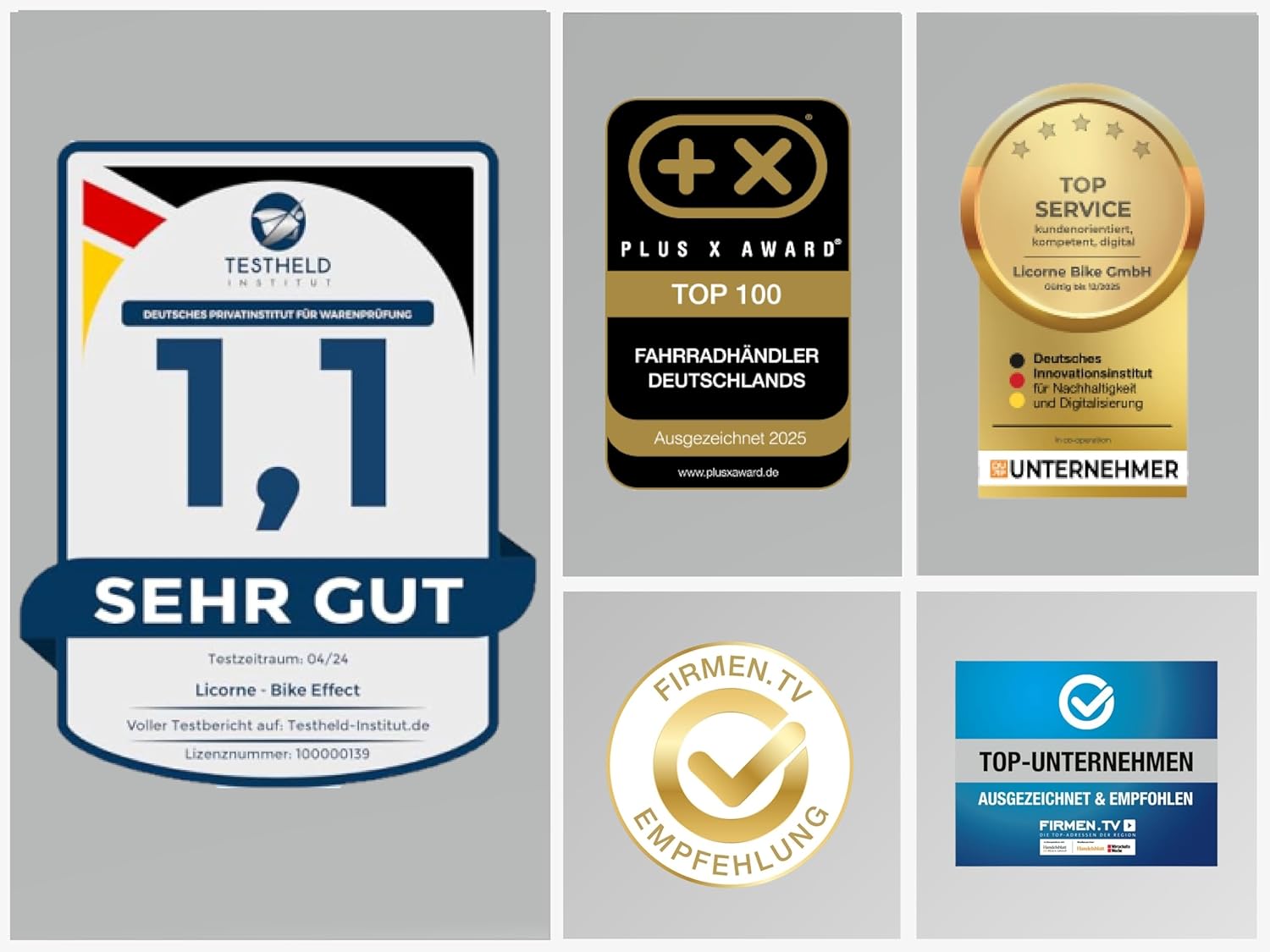 Licorne Bike Effect Premium Mountainbike Aluminium Discbremse Jungen Mädchen 21 Gang