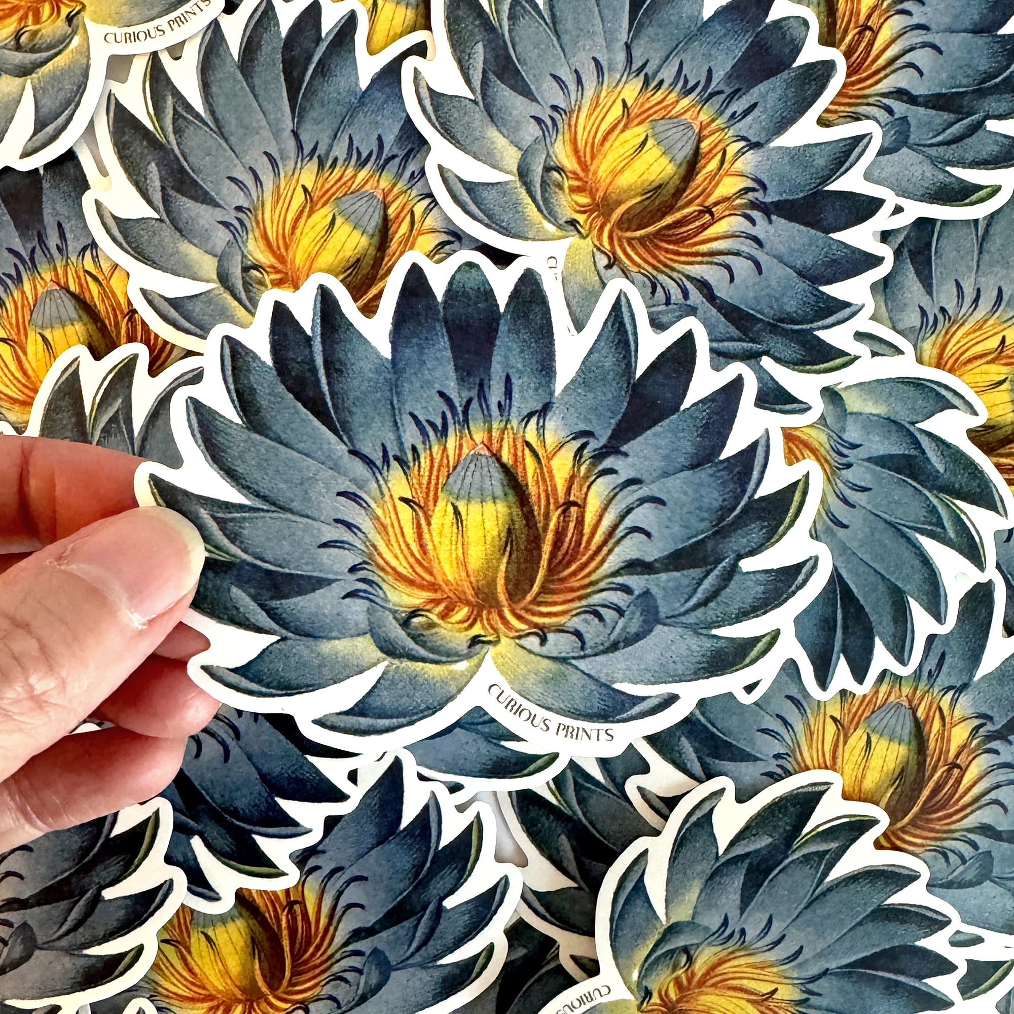 Vintage Botanical Blue Lotus Water Lily Waterproof Sticker