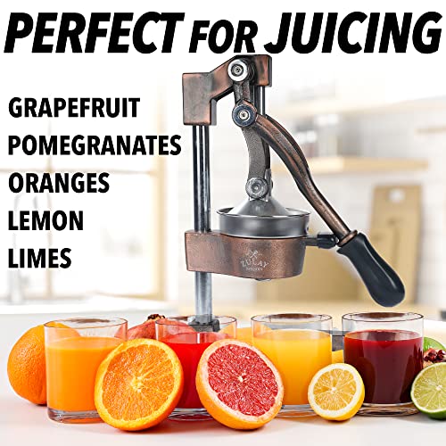 Zulay Kitchen Cast Iron Orange Juice Squeezer   Heavy Duty, Easy to Clean, Professional Citrus Juicer   Durable Stainless Steel Lemon Squeezer   Sturdy Manual Citrus Press & Orange Squeezer (Copper): Home & Kitchen
