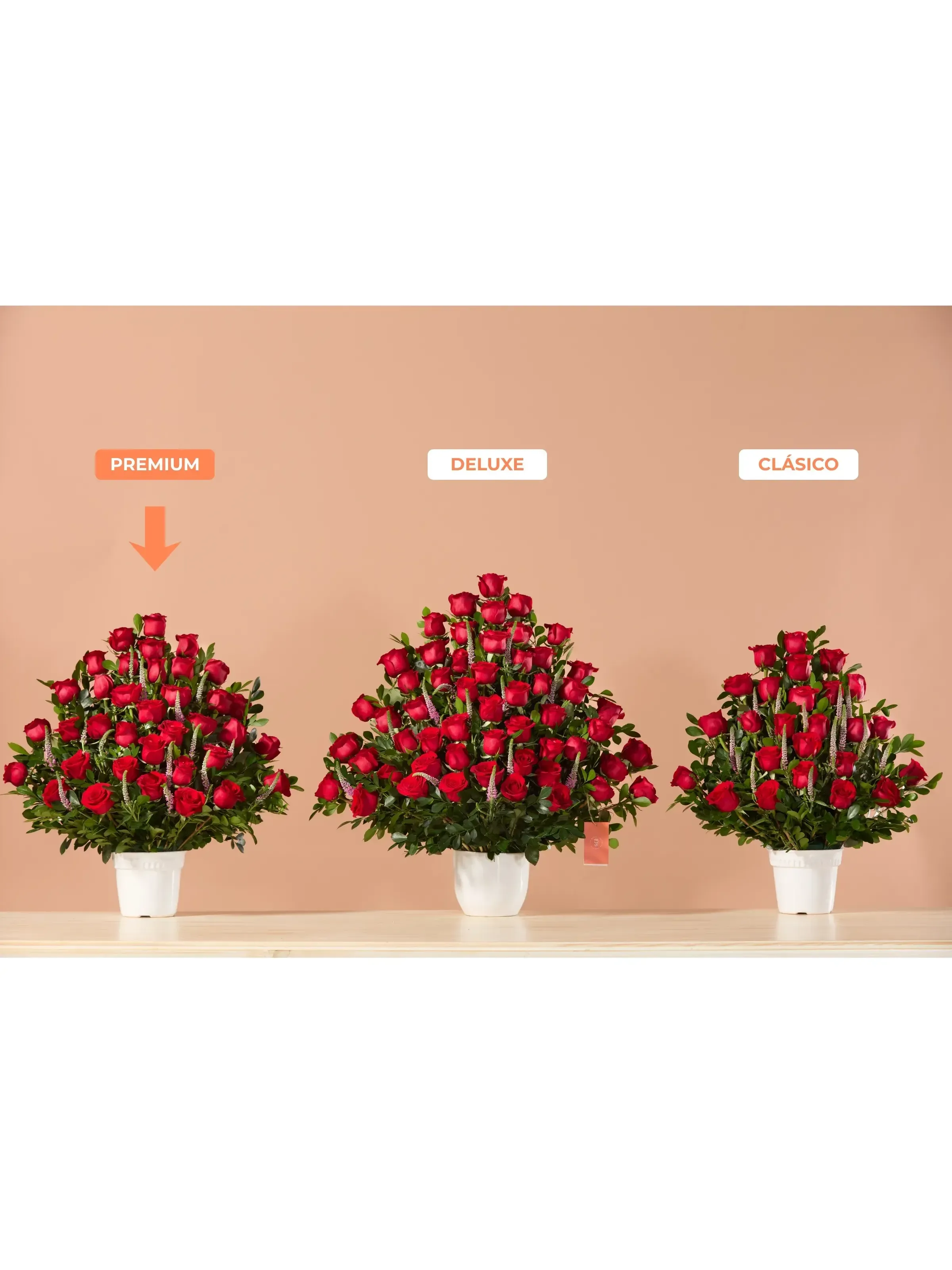 Abanico de Rosas Rojas