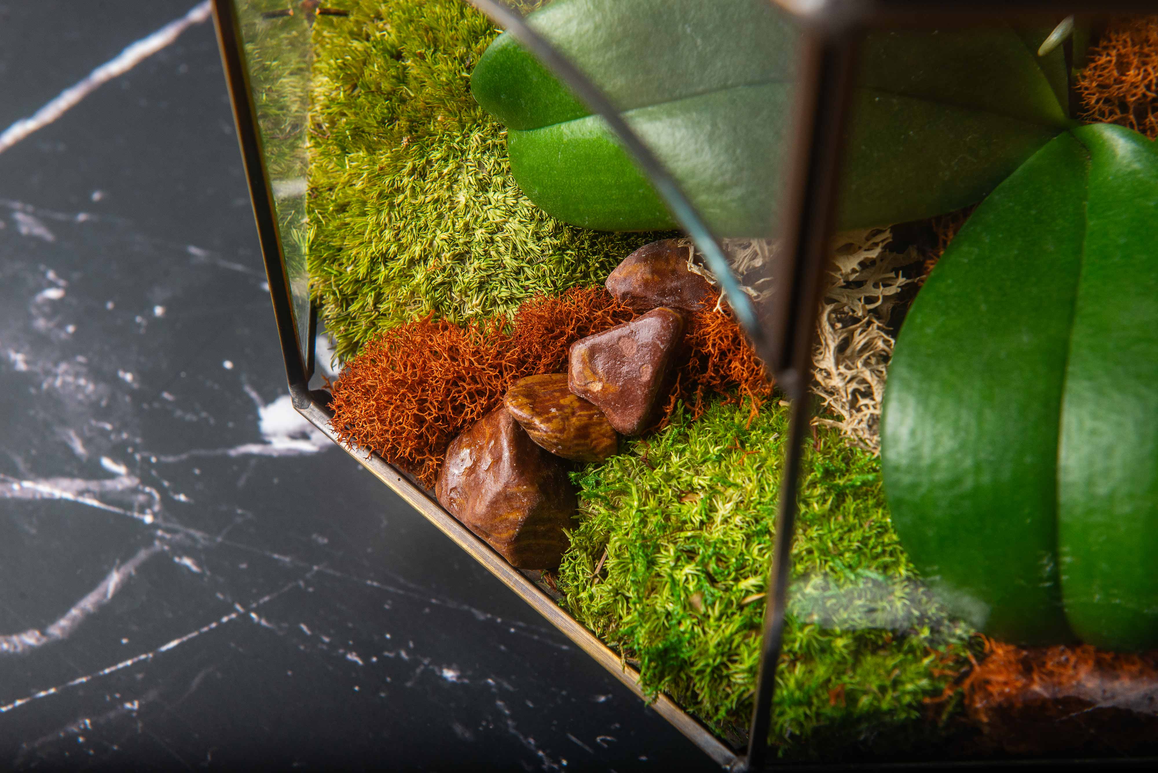 New Year, New Growth Terrarium Workshop | Friday January 30th