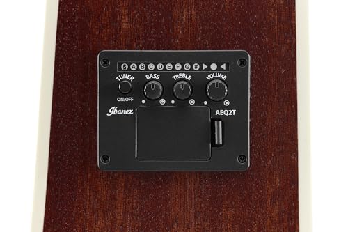 Ibanez Acoustic guitar / PF16MWCEOPN Standard : Strumenti Musicali