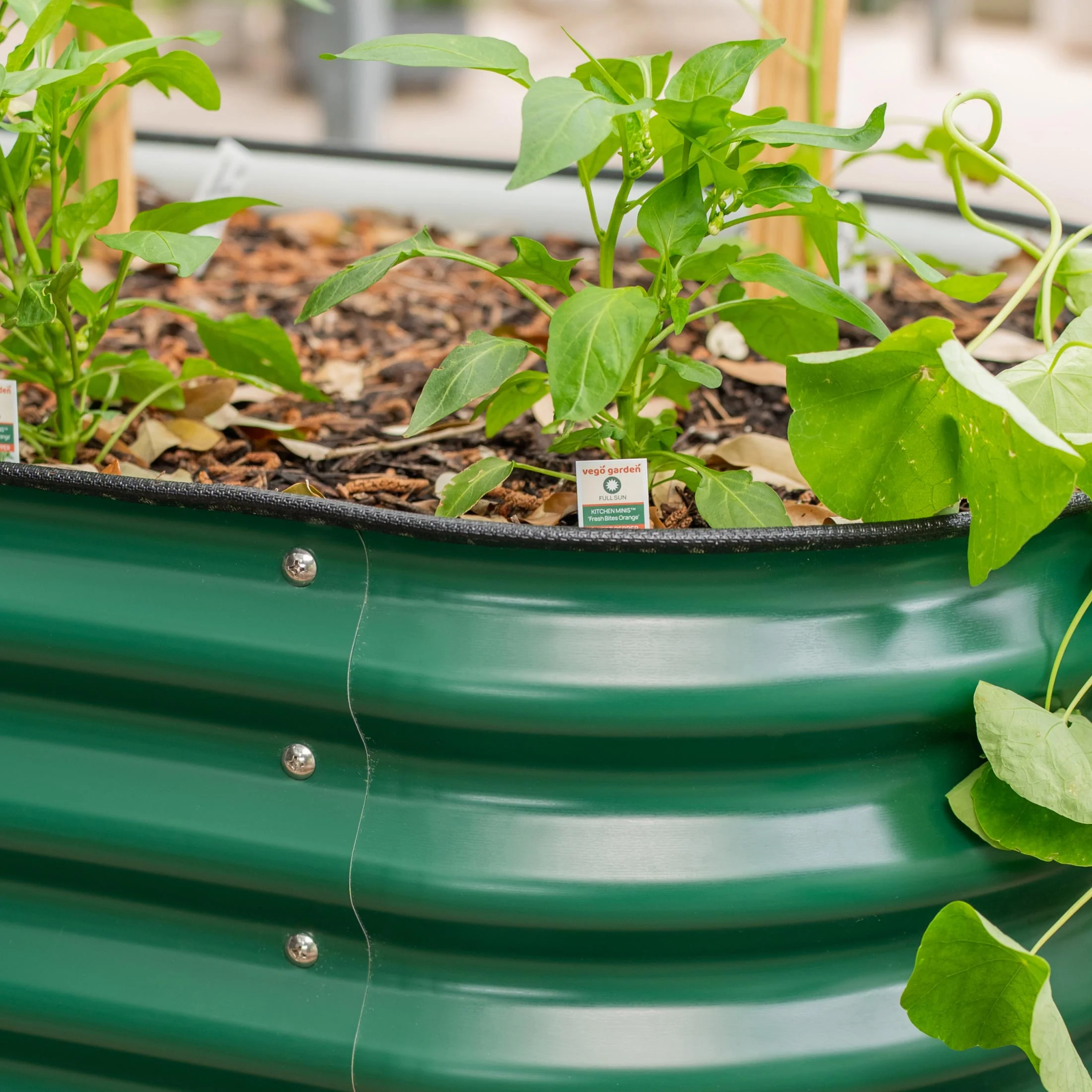 Geavanceerde verhoogde tuinbak