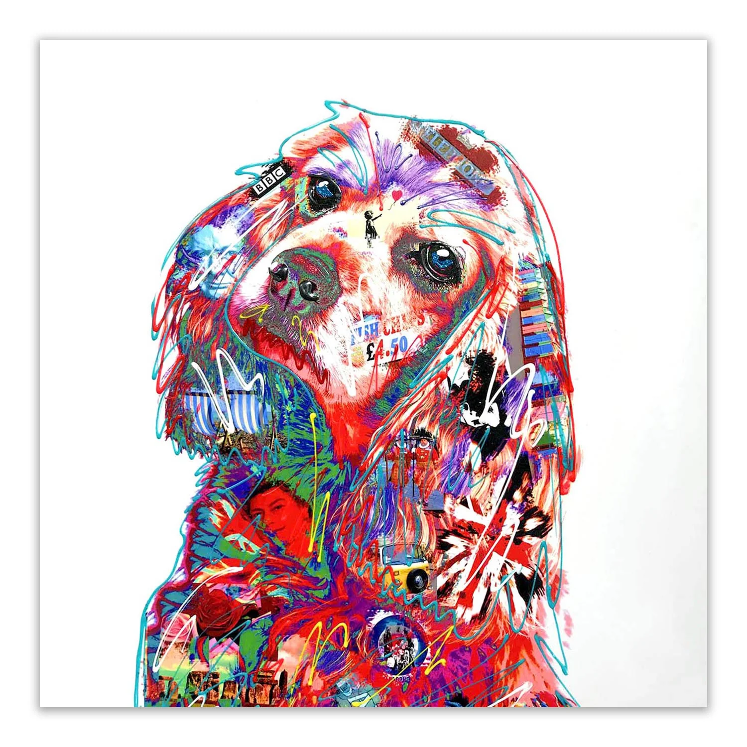 Daniel the Spaniel