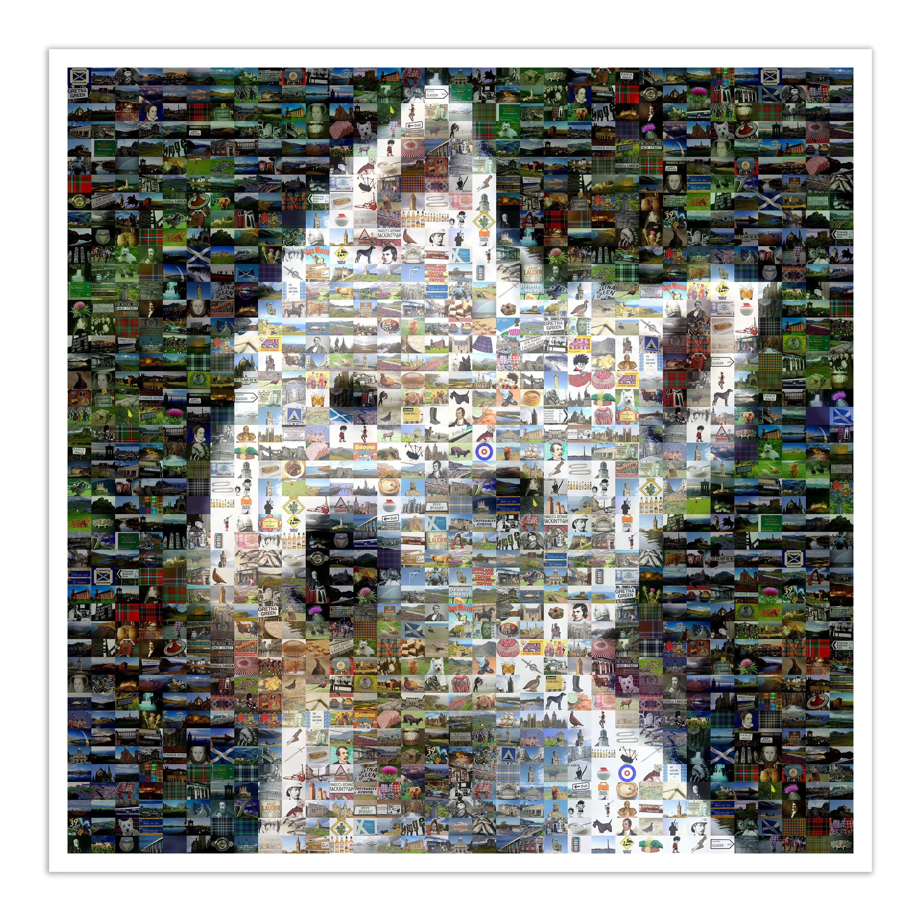 Westie