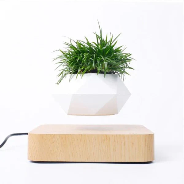 AirZen | Ervaar het wonder van zwaartekracht tartende planten!