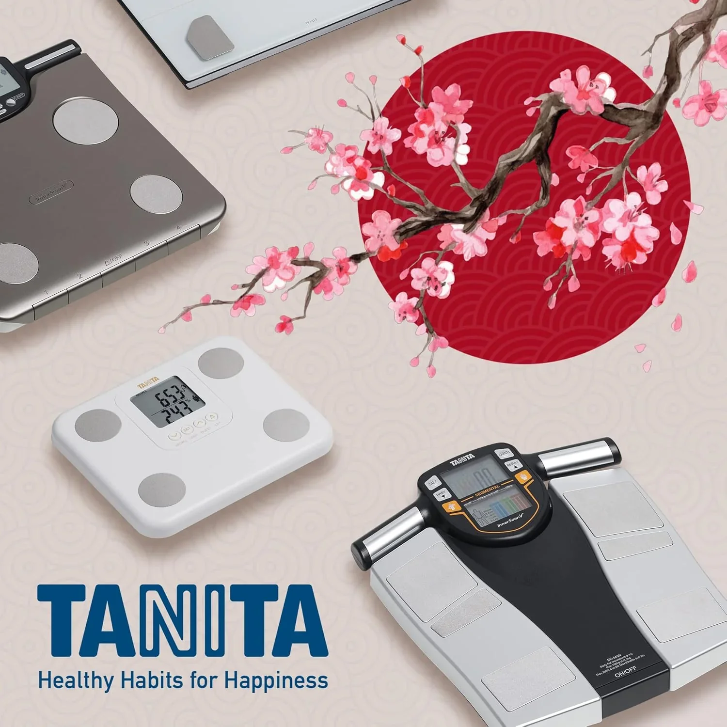 TANITA BC-545N Segment-K?rperzusammensetzungswaage On Screen Messwerte pro K?rperteil 10 Messungen Silber | 1er pack