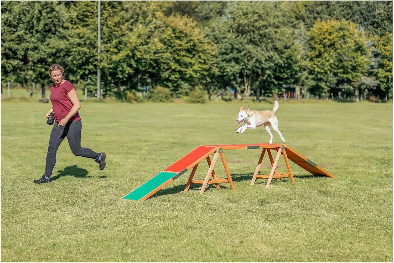 TRIXIE Hunde Agility Steg �C Agility-Ausr��stung f��r Hunde als Laufsteg & Trainingsequipment, wetterfestes Agility-Ger?t f��r Anf?nger & Fortgeschrittene, 456 x 64 x 30 cm - 32090