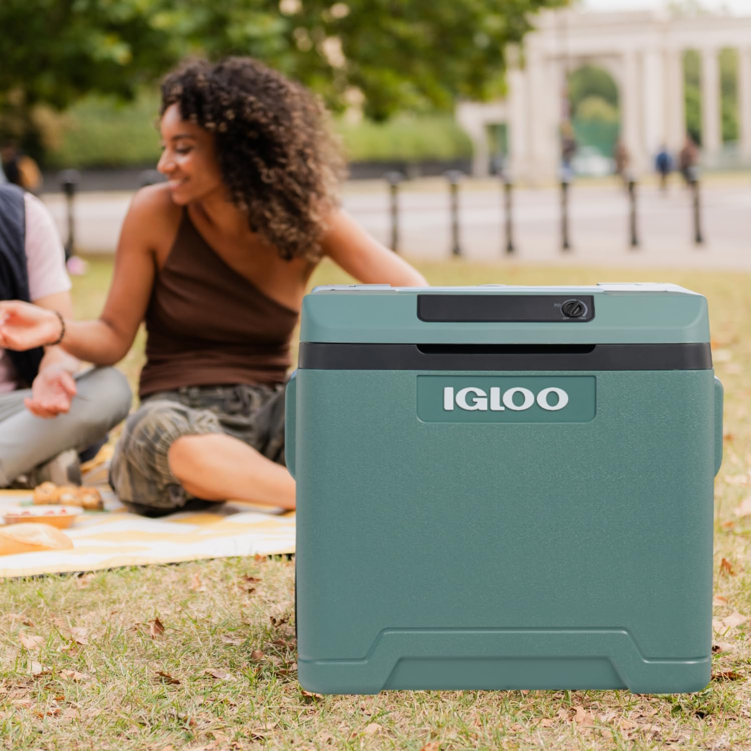 IGLOO IE42 elektryczna lodówka 42L – 12/230V – Termoelektryczna lodówka z kółkami i uchwytem teleskopowym do auta, kampera, kempingu i ciężarówki – Chłodzi do 20 °C poniżej temperatury otoczenia