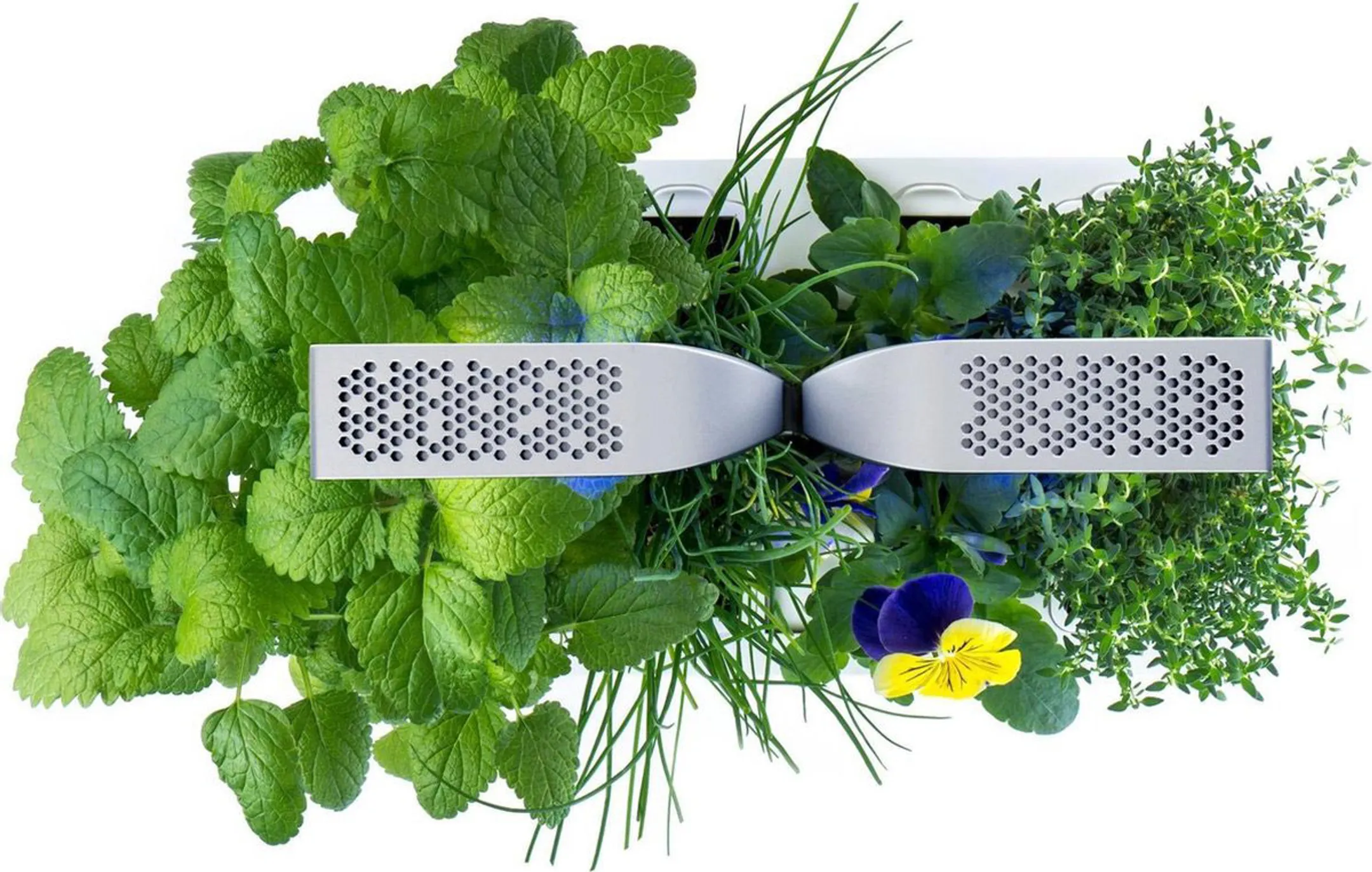 VERITABLE Moestuin Smart