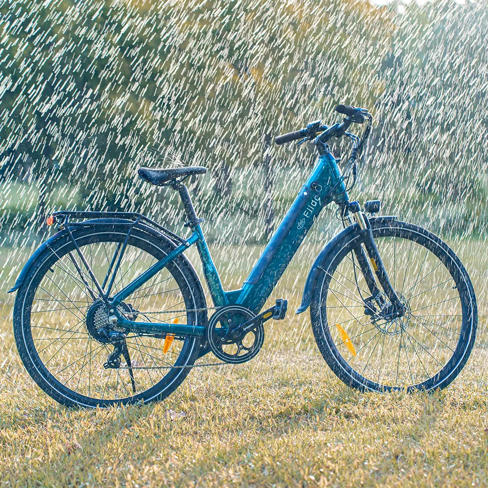2025 Fiido C11 E-Bike urbano leggero