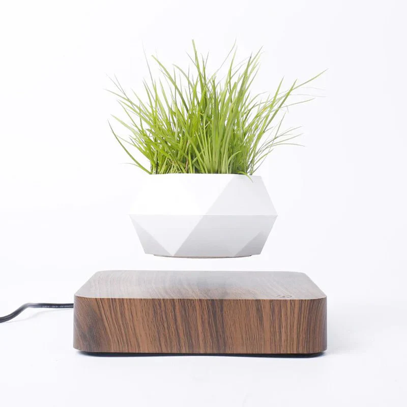 AirZen | Ervaar het wonder van zwaartekracht tartende planten!