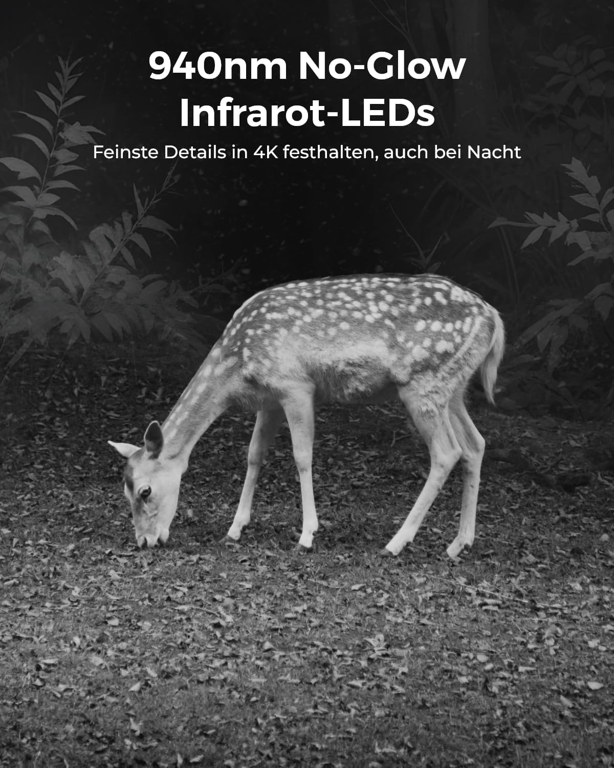 Reolink 4K 4G LTE Überwachungskamera mit SIM-Karte, Dual-Objektiv, Auto-Tracking, Wildkamera Solar Akku Ohne WLAN, 6X Hybrid-Zoom, No-Glow IR, IP65 für Wildtiere, TrackMix LTE Trail + Solarpanel