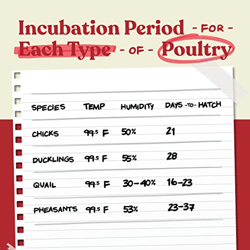 Harris Farms Nurture Right Egg Incubator for Hatching Chicks - Holds 22 Eggs
