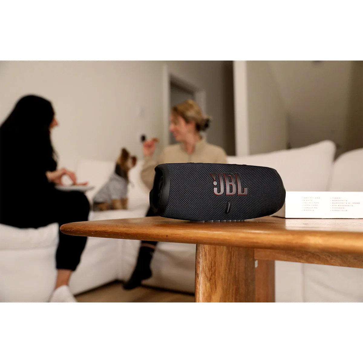 2025 JBL Charge 5 Draagbare waterdichte Bluetooth-luidspreker met powerbank ?C Set (Zwart/Teal)