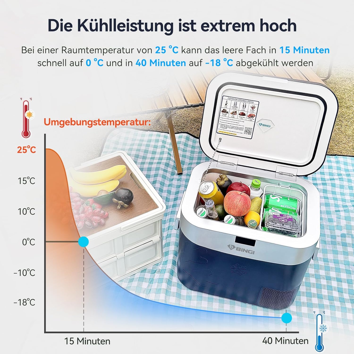 BINGI Kompressor Kühlbox 22L Mini Tragbarer Elektrischer Kühlschrank 12/24V DC Elektrischer Gefrierschrank Tragbarer Gefrierschrank für Auto LKW Picknick Camping und Heimgebrauch
