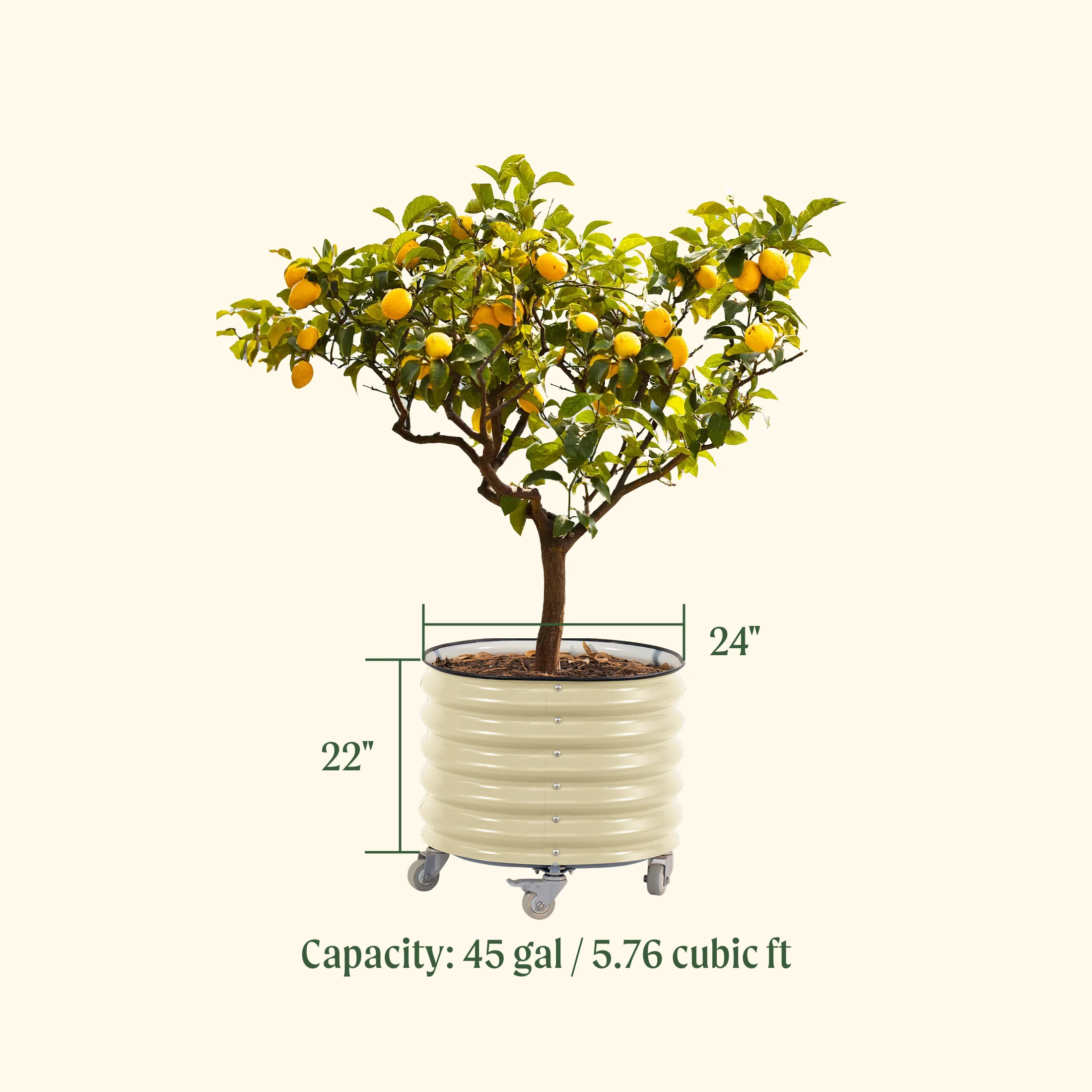 Brits Groen + Zelfbewaterende Rollende Citrusboom Planter