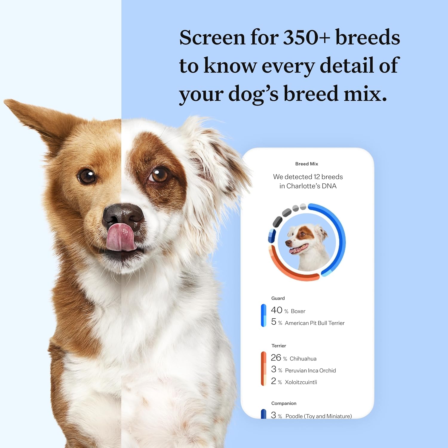 Wisdom Panel zur Feststellung von Hunderassen DNA-Test-Kit – przise Rassen-ID MDR1 Abstammung Verwandte