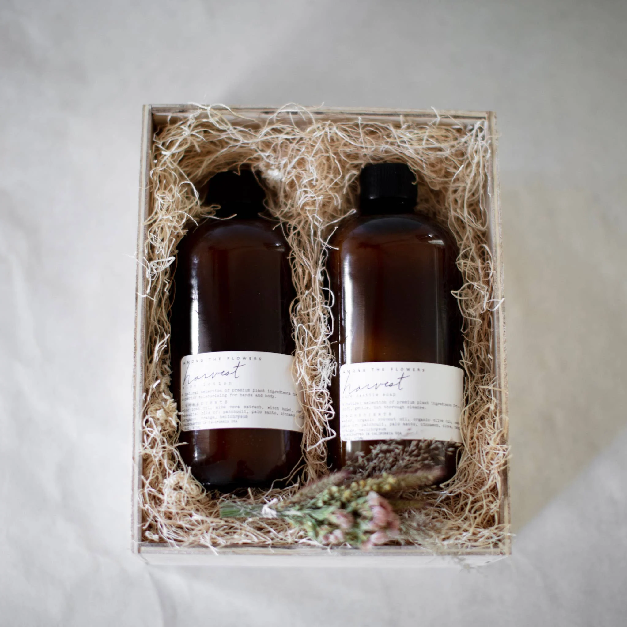 Botanical Aloe Lotion AMONG THE FLOWERS