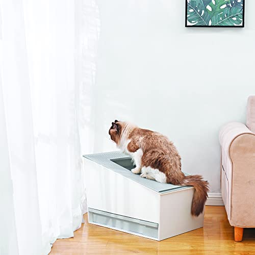 HONEY CARE Lettiera autopulente per gatti, lettiera automatica per più gatti, con APP e sistema vocale Alexa Smart Secure Control, bianco opaco : Amazon.it: Prodotti per animali domestici