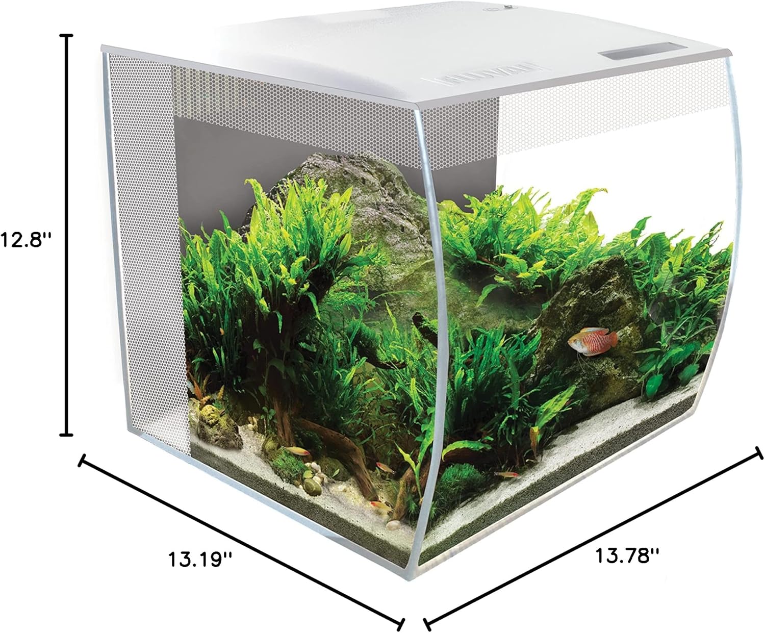Fluval Flex Aquarium 123L, Süßwasser Aquarium, schwarz