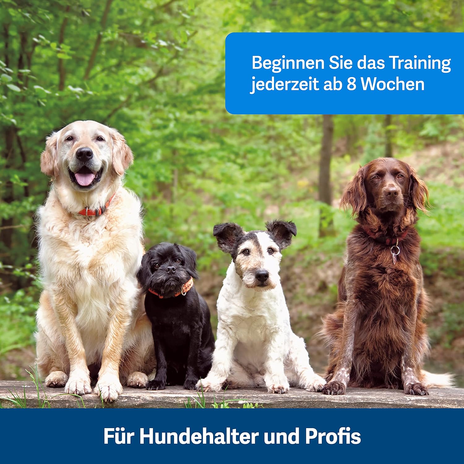 PetSafe Teach und Treat Ferngesteuerter Belohnungstrainer für Hunde, Training und Positive Verstrkung, 4 D Batterien ntig, Grau