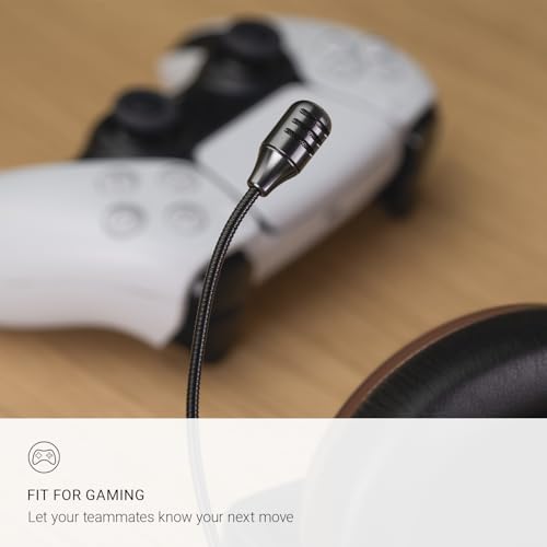 MEZE AUDIO 99 Classics auto regolabile