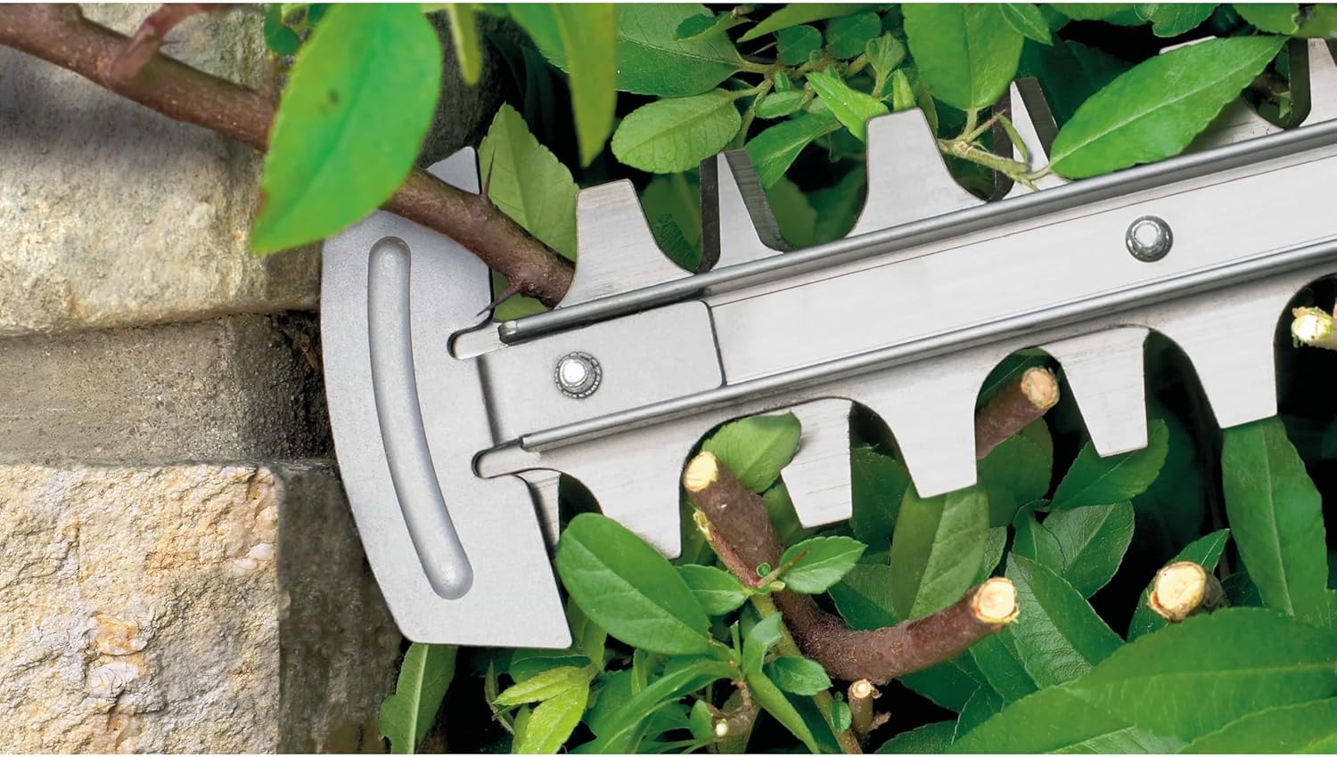 Bosch heggenschaar AdvancedHedgeCut 65 (500 watt, bladlengte: 65 cm, voor grote heggen, bladafstand: 34 mm, in doos)