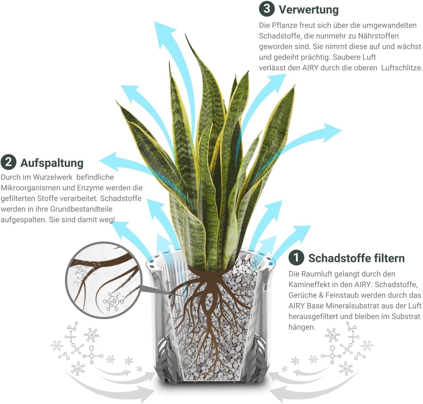 AIRY Luftreiniger System S inkl. Bogenhanf & 3-Liter Airy Base • Natürlicher Luftfilter beseitigt Schadstoffe, Allergene & Gerüche • Ideal für Räume mit ca. 10qm • 1315-613 weiss-grau