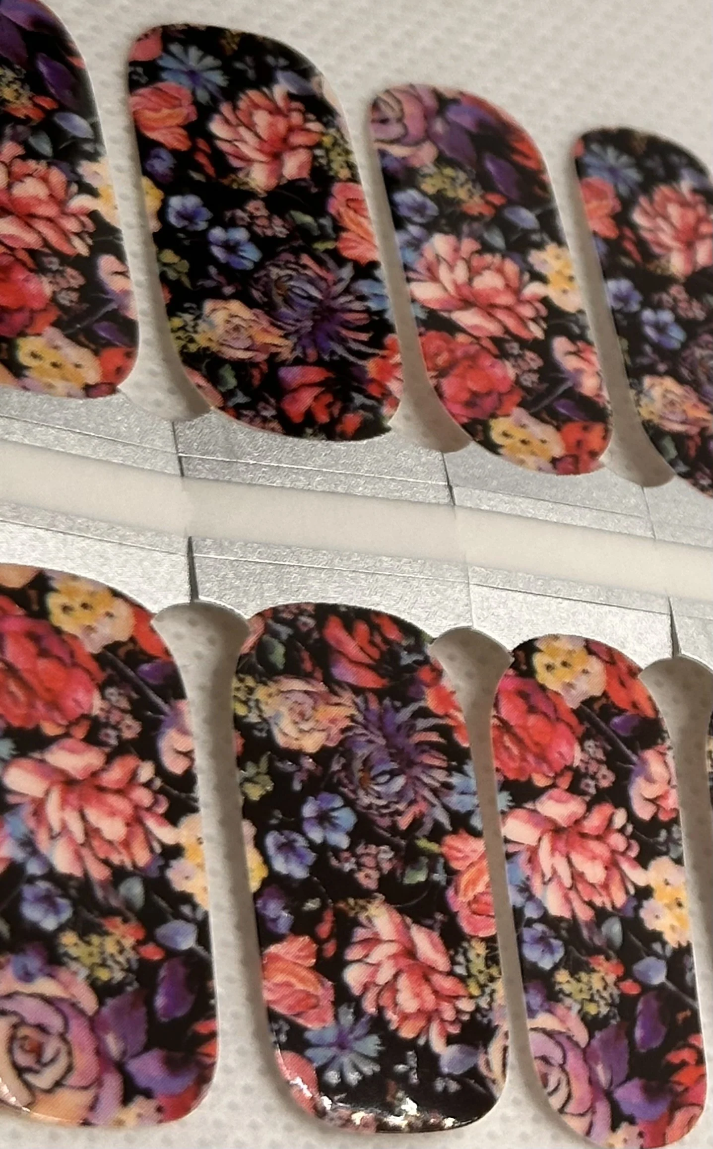 Autumn Flowers
