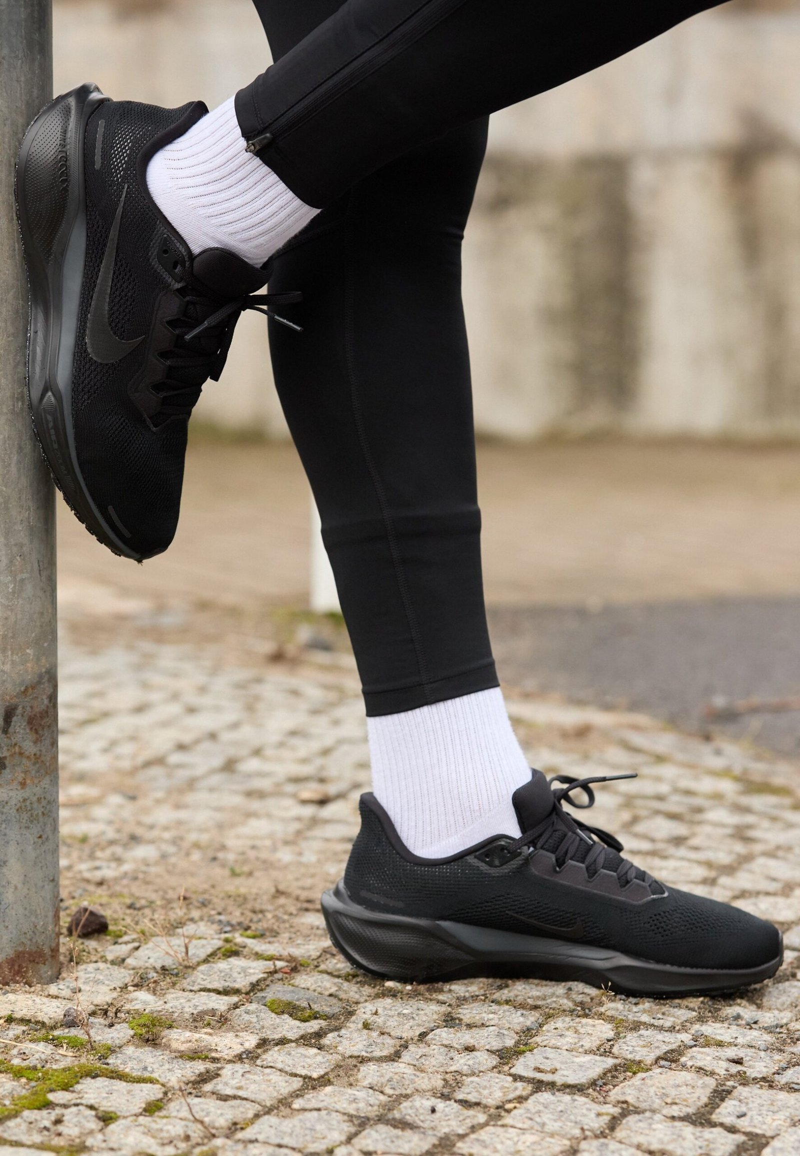 Nike Pegasus 41 Herren