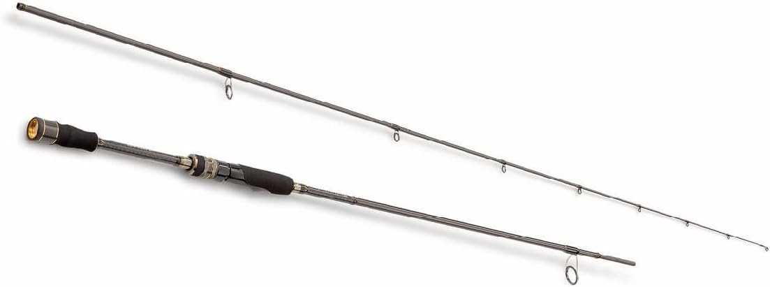Valley Hunter Baitcasting-Rute, Spinnen, Casting, Barsch, Zander