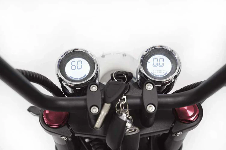 Mangosteen M1P Elektro-Chopper in Mattgrün – 2000W Bürstenloser Motor, 60 km/h Hchstgeschwindigkeit