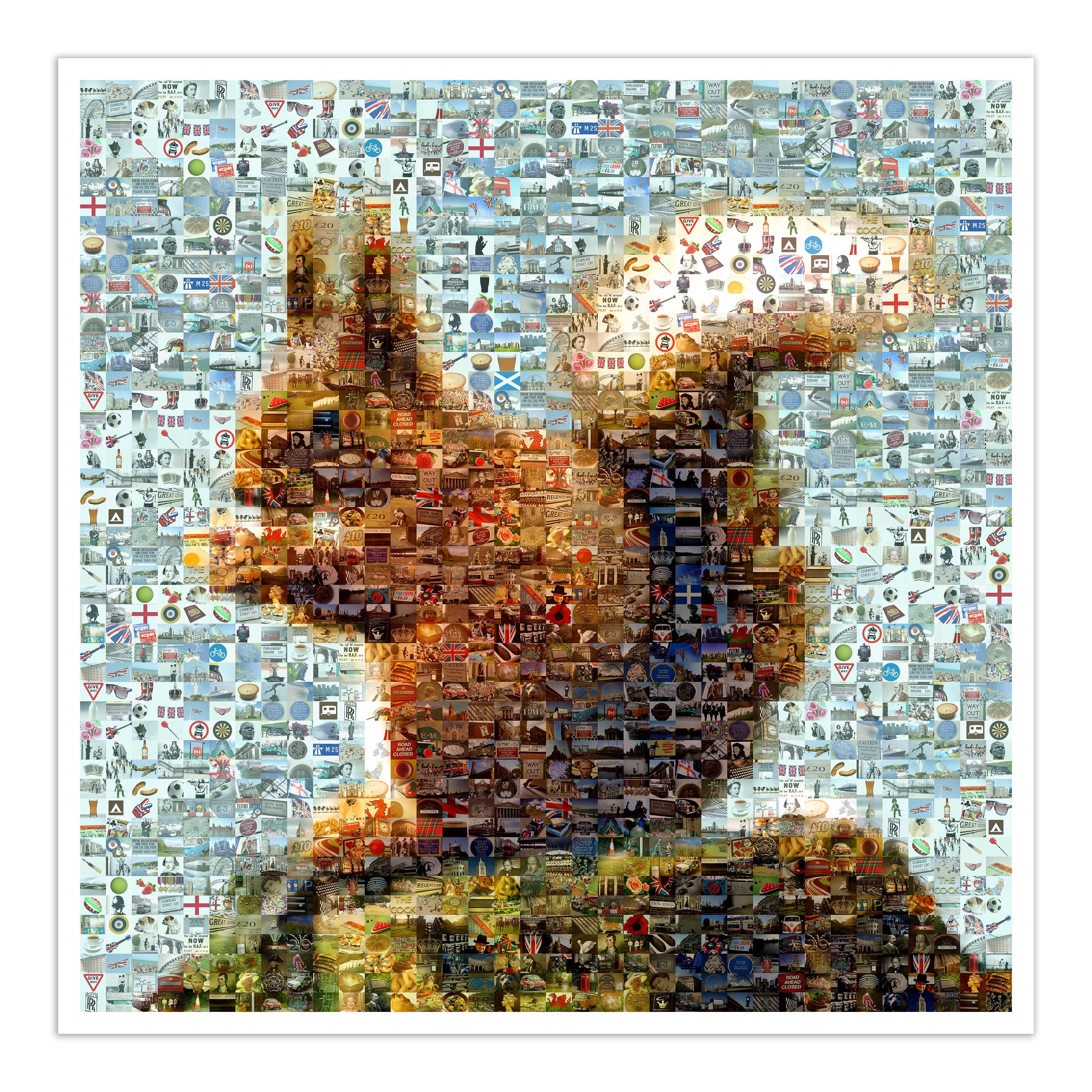 Red Squirrel