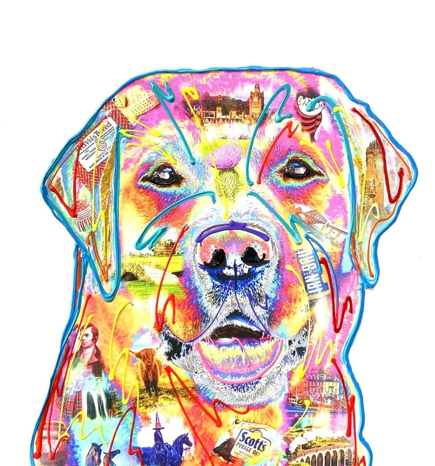 Scottish Lab