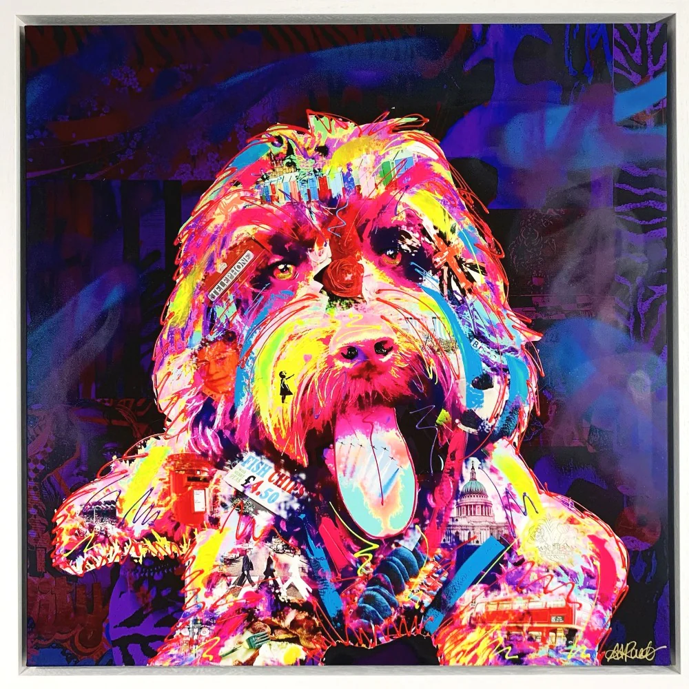 Coco Cockapoo Midnight - SPECIAL EDITION