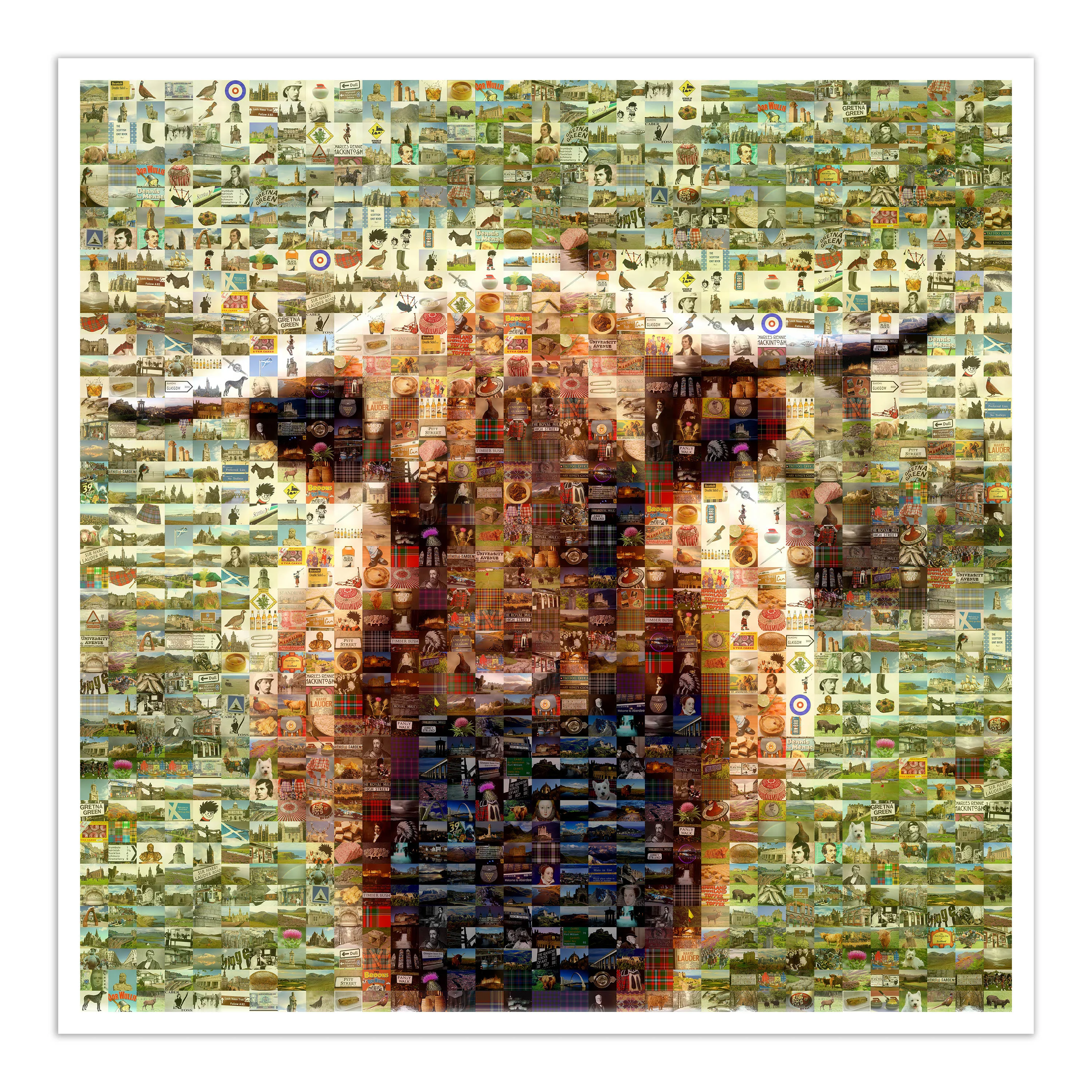 Highland Cow Natural