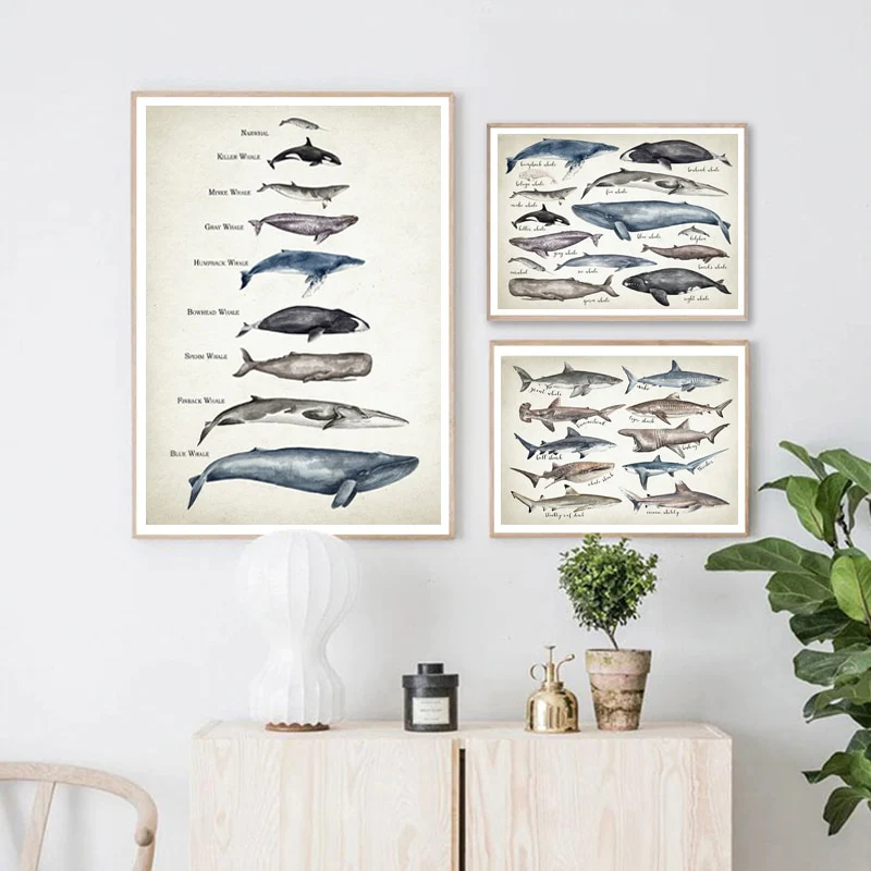Whale and Shark Watercolor Prints - Educational Nursery Wall Art