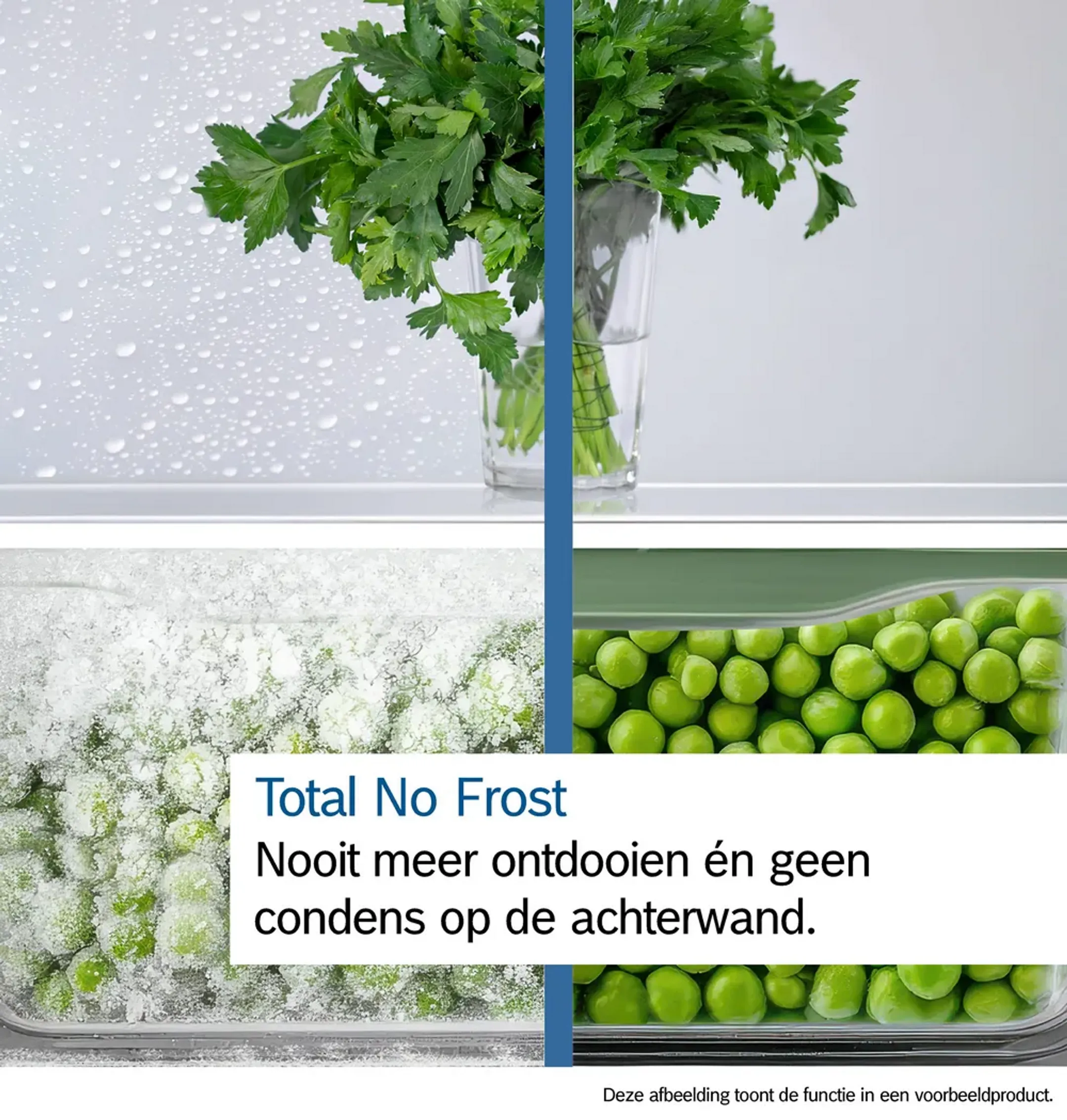 Bosch Koelkast met diepvries KGN33NSDB