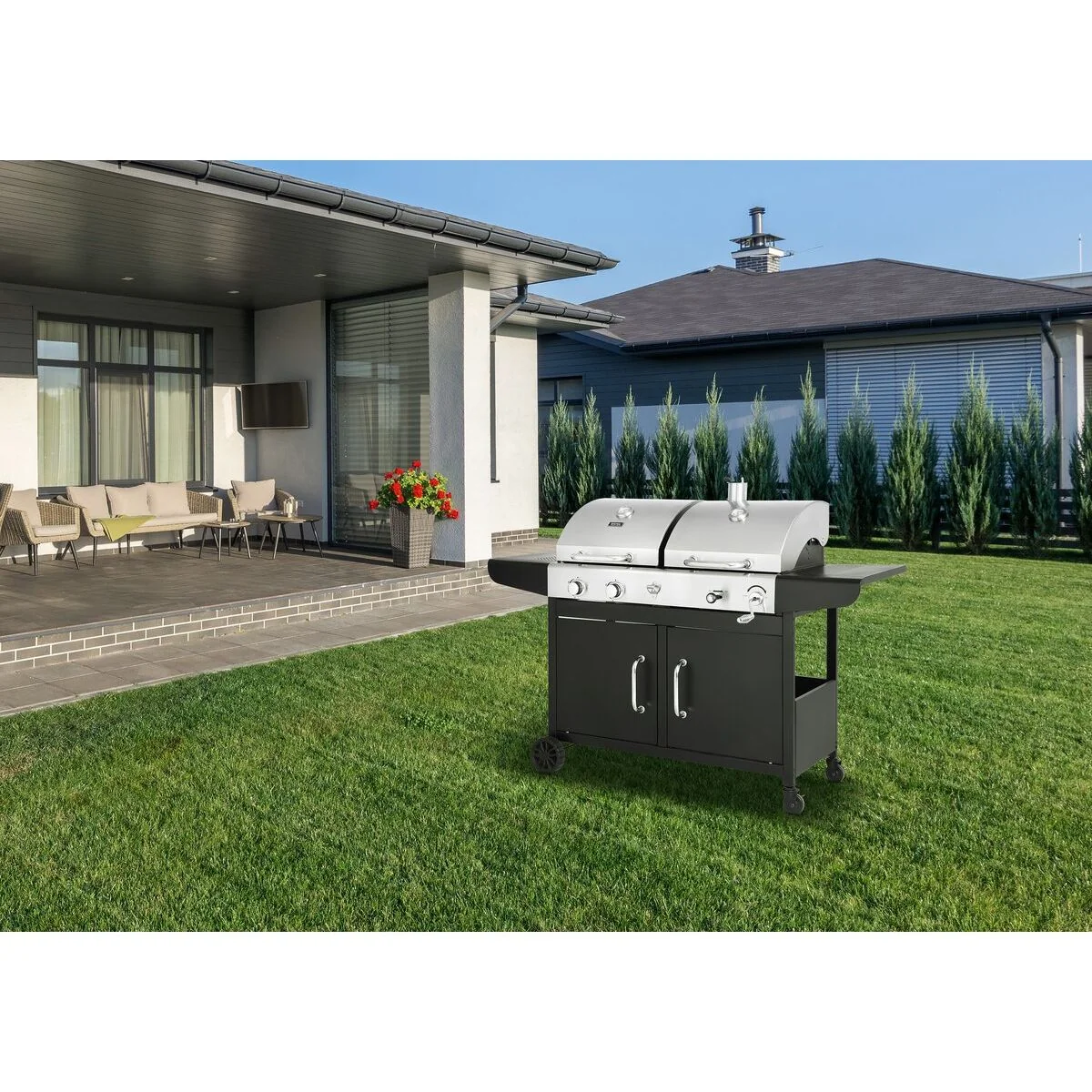 Barbacoa De Gas Y Carbón 