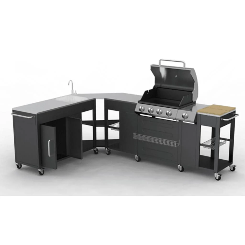 Barbacoa Parrilla De Gas 4+1 Quemadores Vidaxl