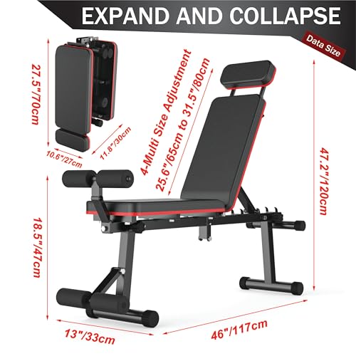 Panca pesi regolabile, pieghevole, si può inclinare, reclinare e lasciare piana, allenamento per tutto il corpo, design con poggiatesta estendibile, capacità 660 libbre/300 kg : Amazon.it: Sport e tempo libero