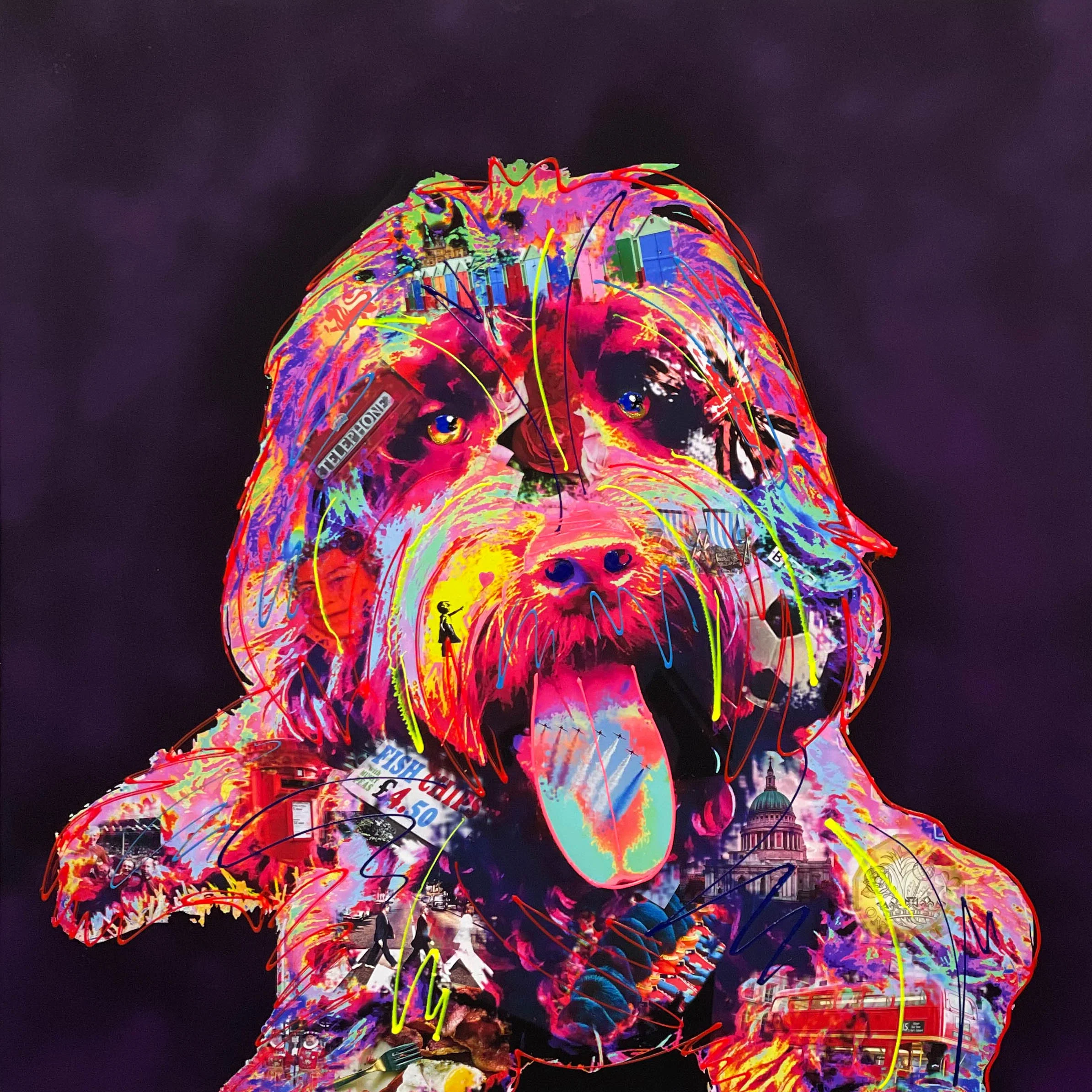 Coco Cockapoo Midnight