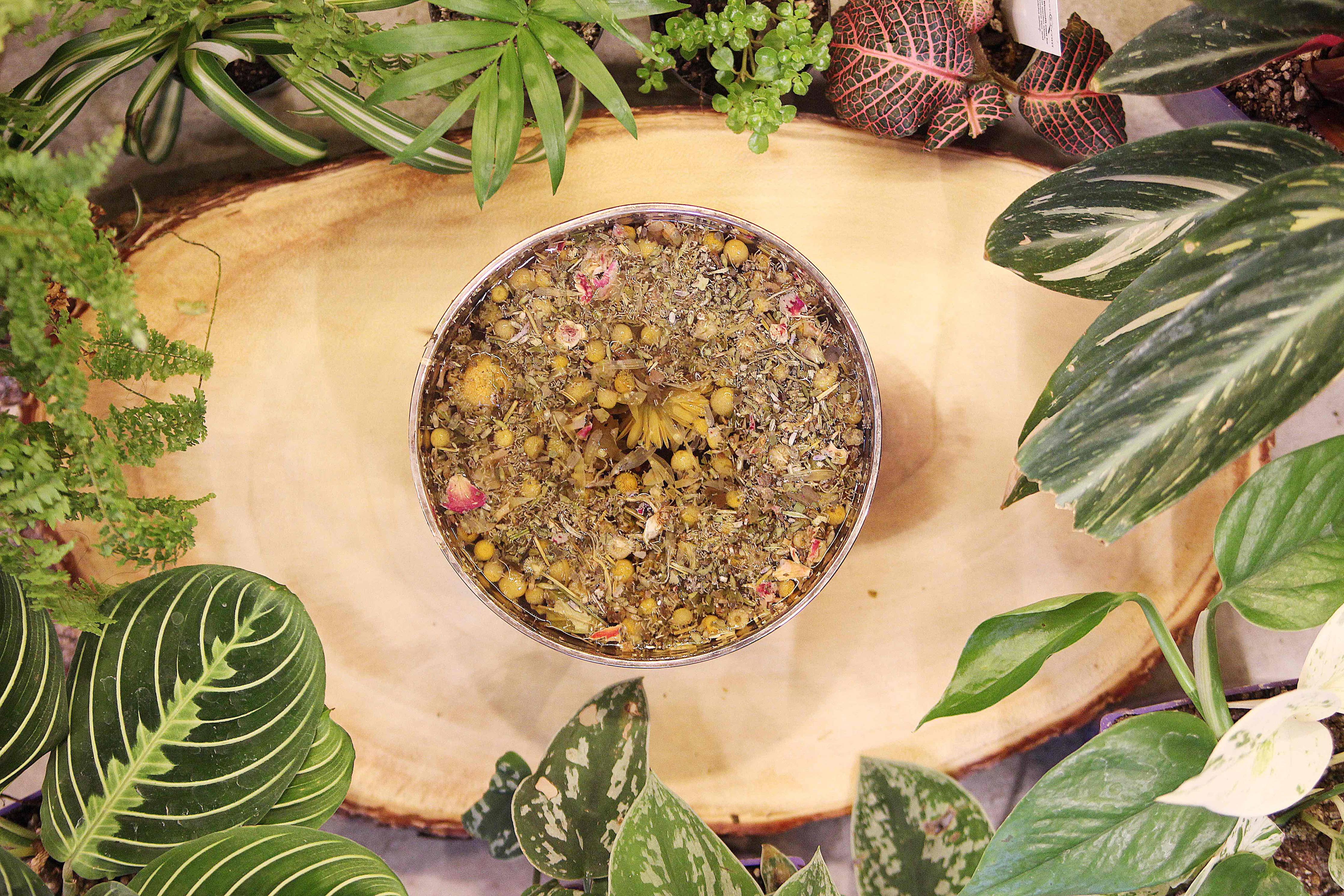 Herbal Steam Facial Blend Seattle Seed CO