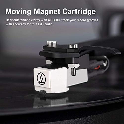 1 BY ONE Giradischi Vinili, Giradischi Stereo a Cinghia in Legno con lmpianto di Altoparlanti Hi Fi Wireless 36W, Lettore Vinile Contrappeso Regolabile, Registrazione da Vinile a MP3 : Elettronica