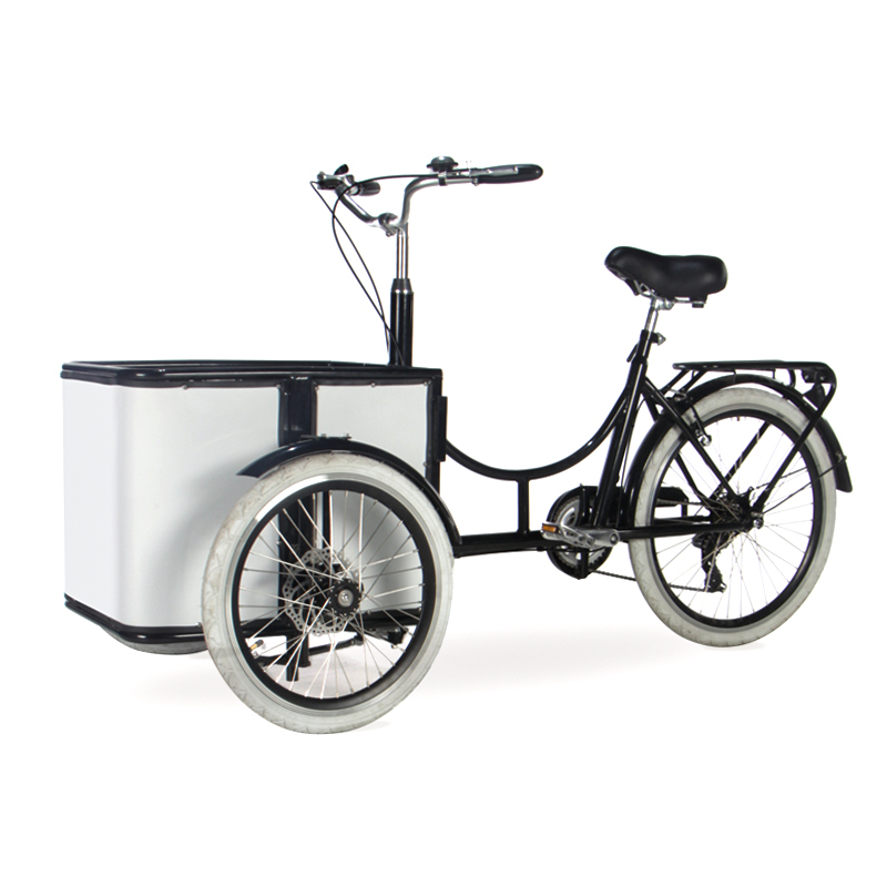 Electric tricycle SLS-0018