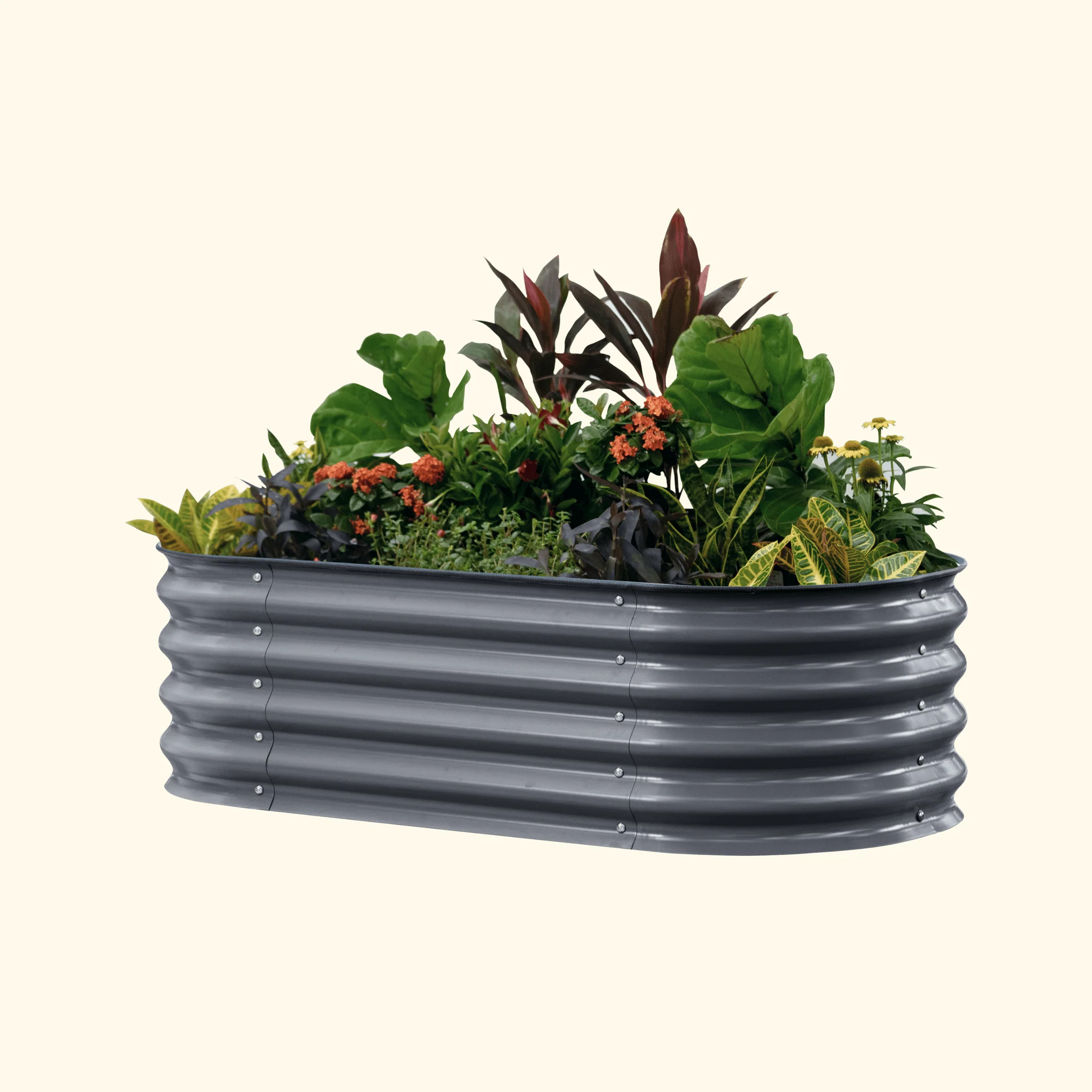 Zelfbewaterende verhoogde tuinbak
