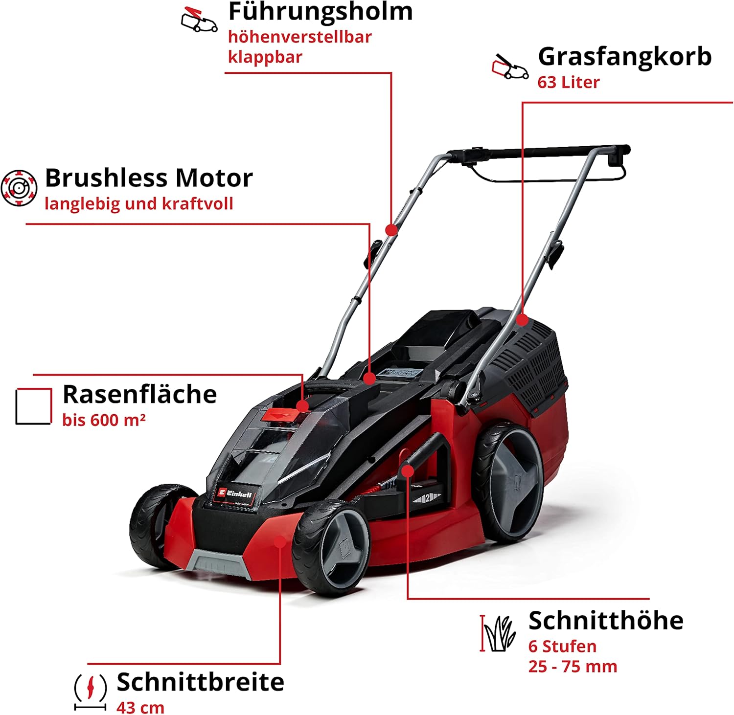 Einhell Akku-Rasenmäher GE-cm 43 Li M Kit Power X-Change (36V, 43 cm Schnittbreite, bis 600 m2, Brushless, Mulch-Kit, 63L Fangkorb, 25-75 mm Schnitthöhe, inkl. 2X 4,0Ah + 2X Ladegerät)