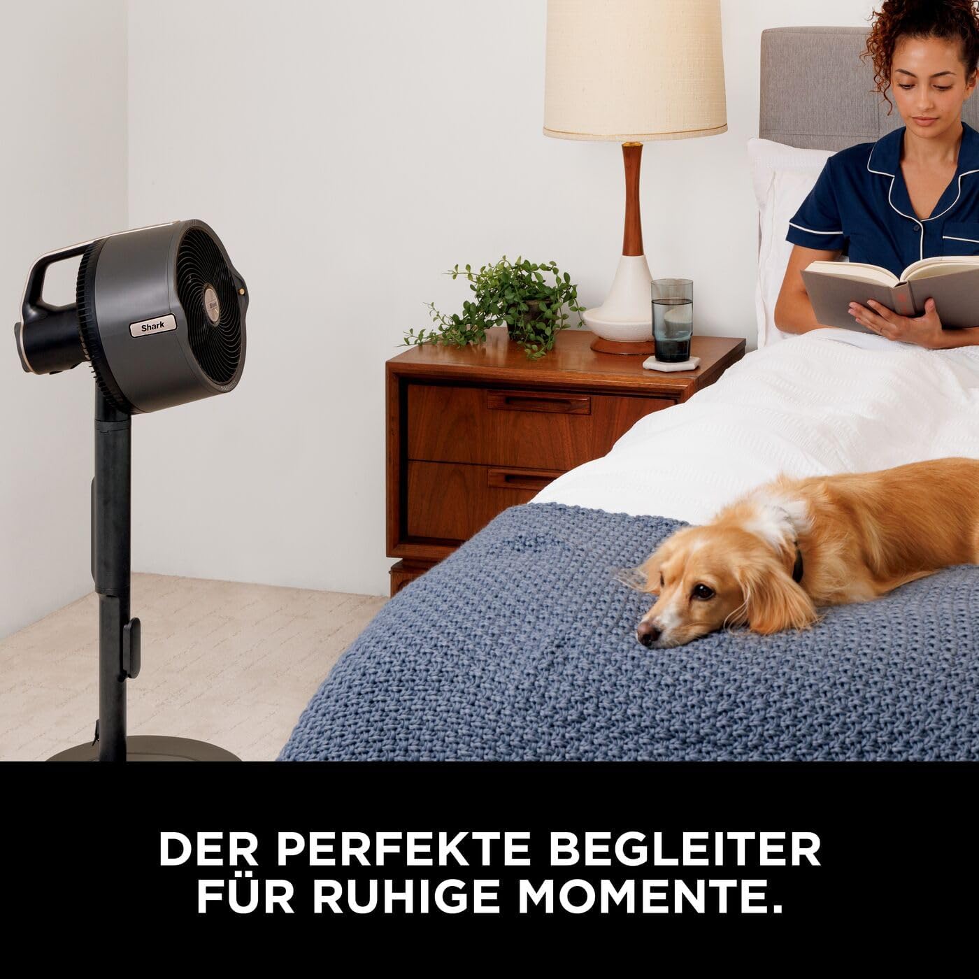Shark FlexBreeze Ventilator Leise, Hybrid Ventilator Kabelgebunden & Kabellos, Tragbar, für Innen- und Außenbereich, UV- & Wasserbeständig, Ultraleistungsstark, Ultraleise, Weiß FA220EU