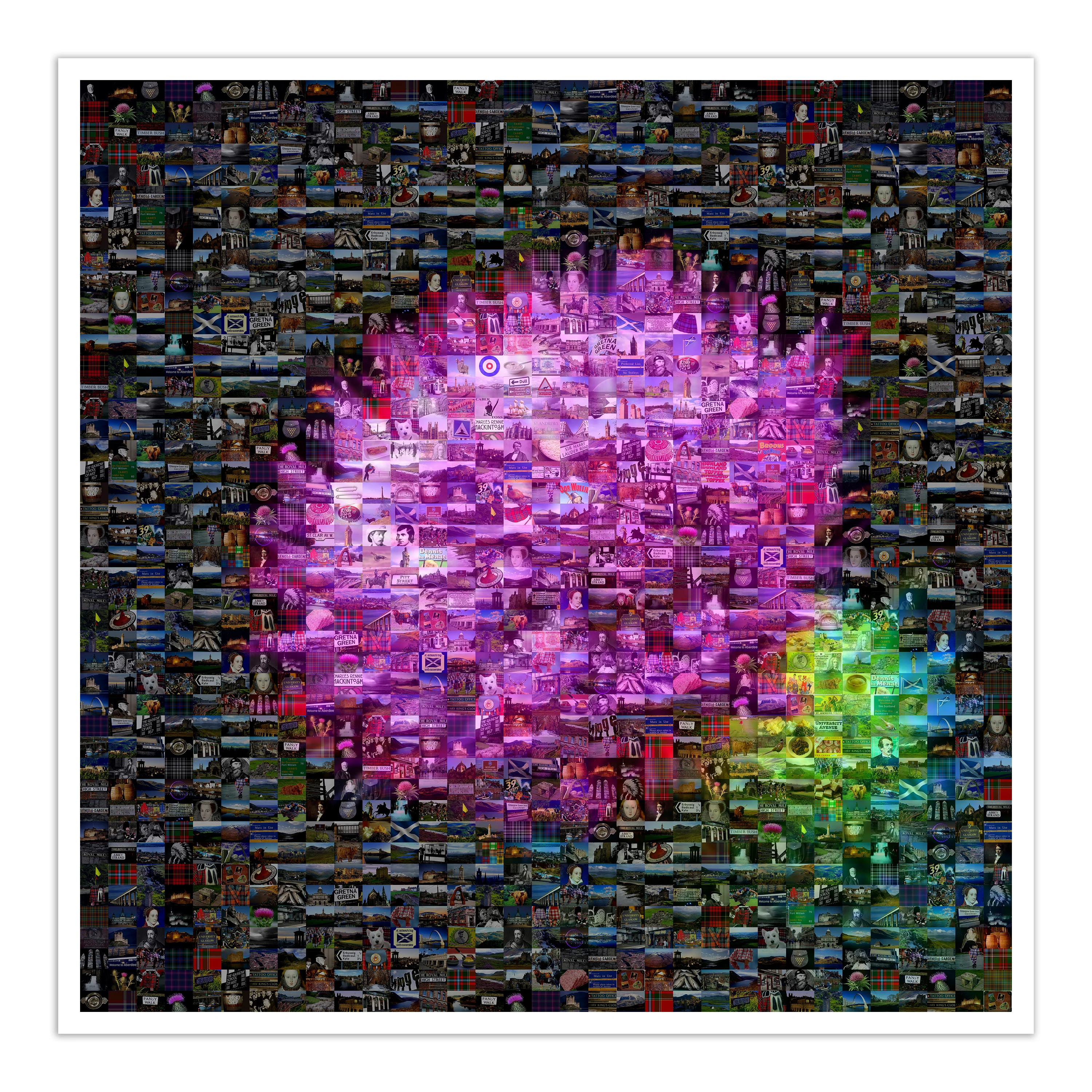 Thistle Black